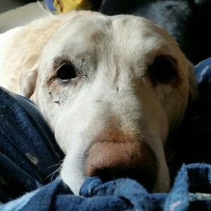 Meet your Posher, Sheila